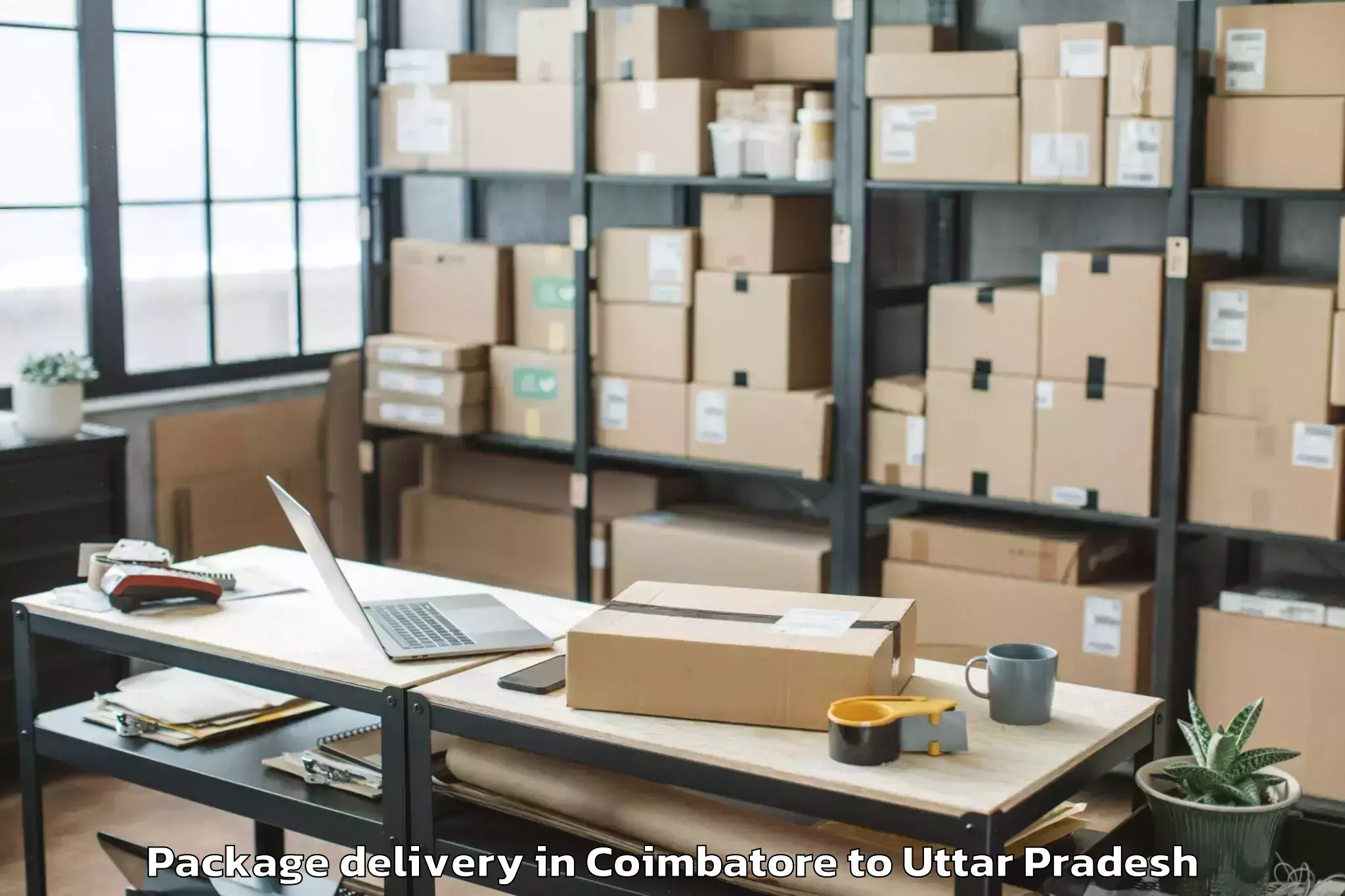 Hassle-Free Coimbatore to Bharwari Package Delivery